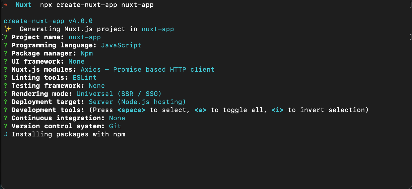 Nuxt installing