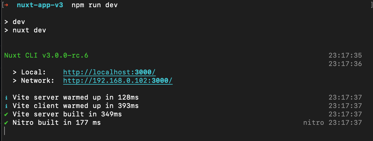Run Nuxt v3 dev server