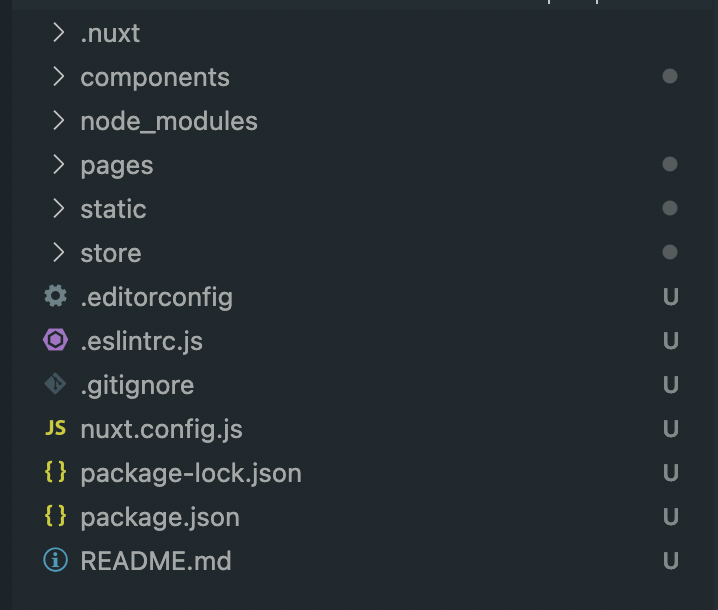 NuxtJS project structure