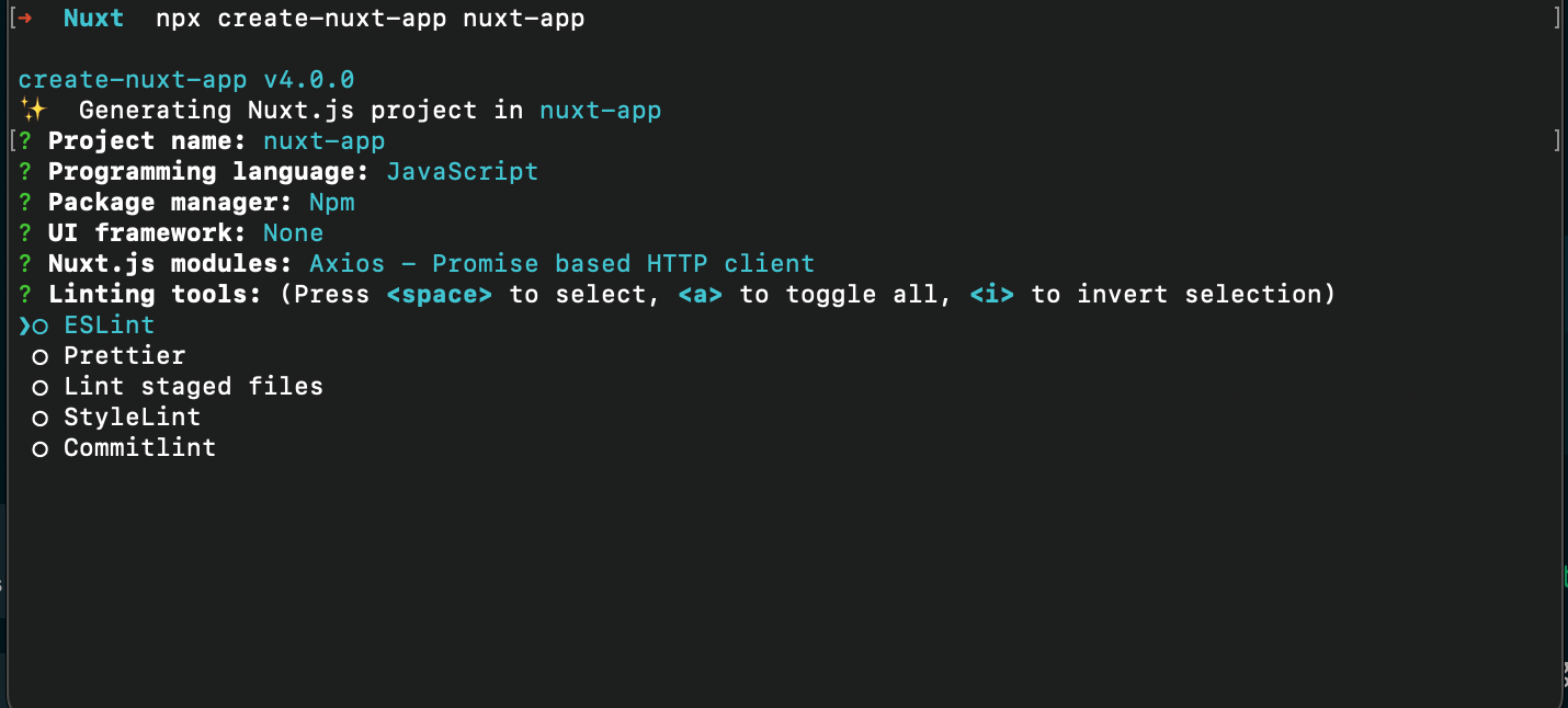 Nuxt app options