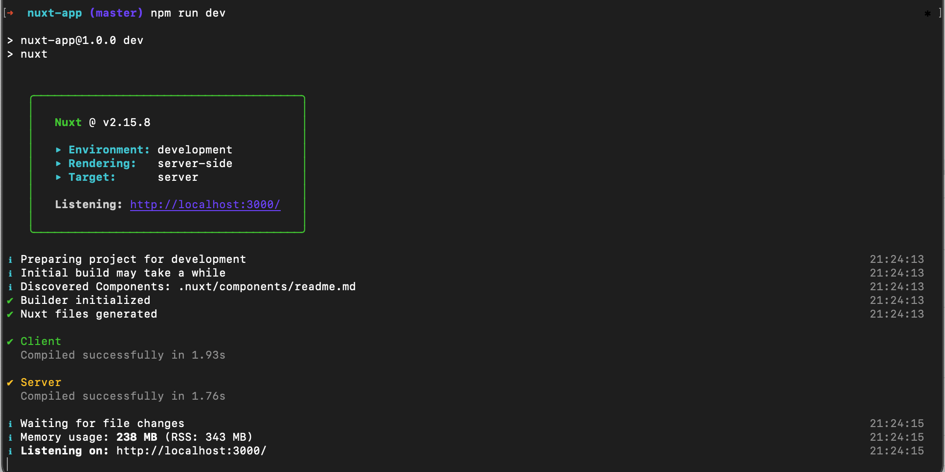 Nuxt dev server