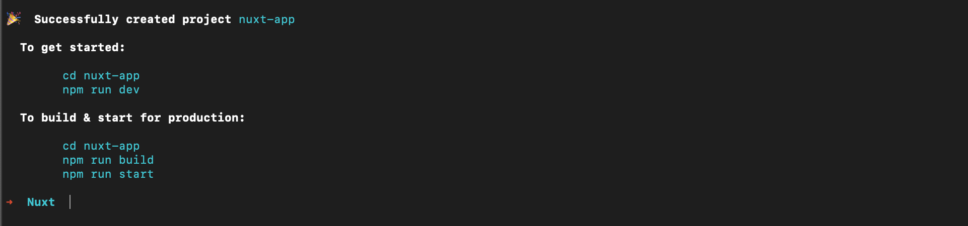 npm run dev